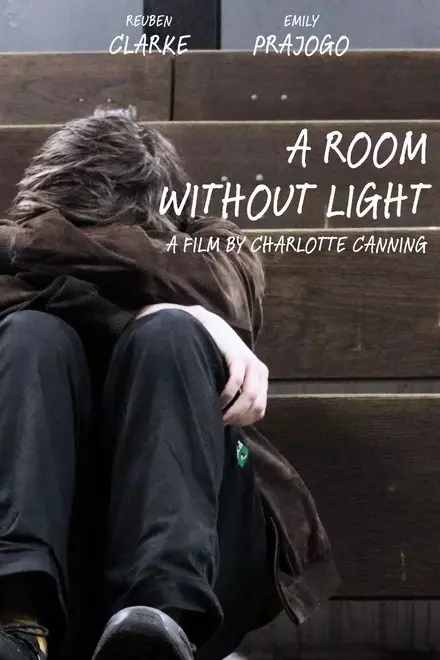 A Room Without Light