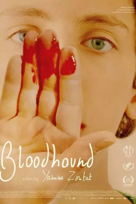 Bloodhound