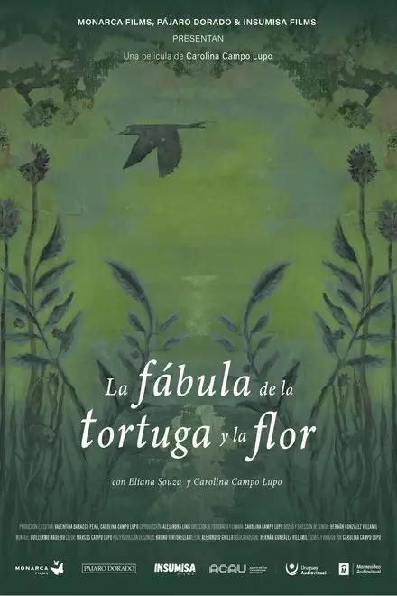 La fábula de la tortuga y la flor