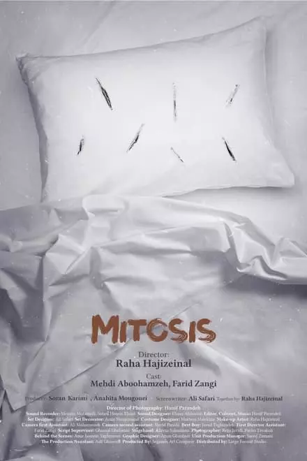 Mitosis