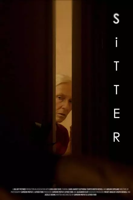 Sitter