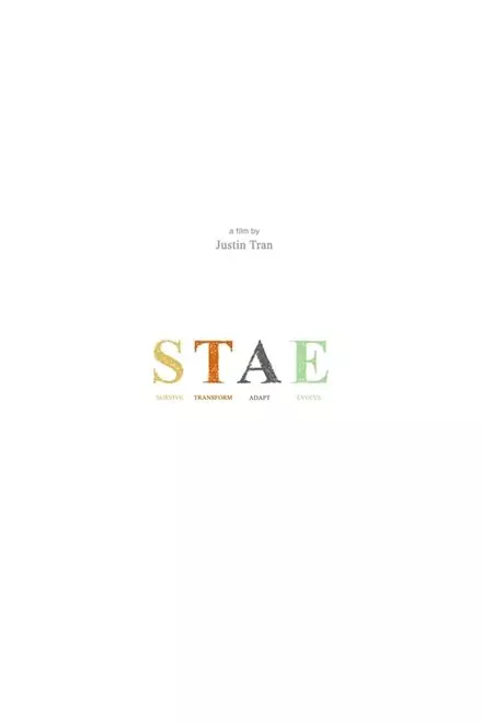 STAE