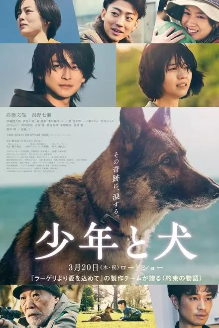 The Boy and the Dog