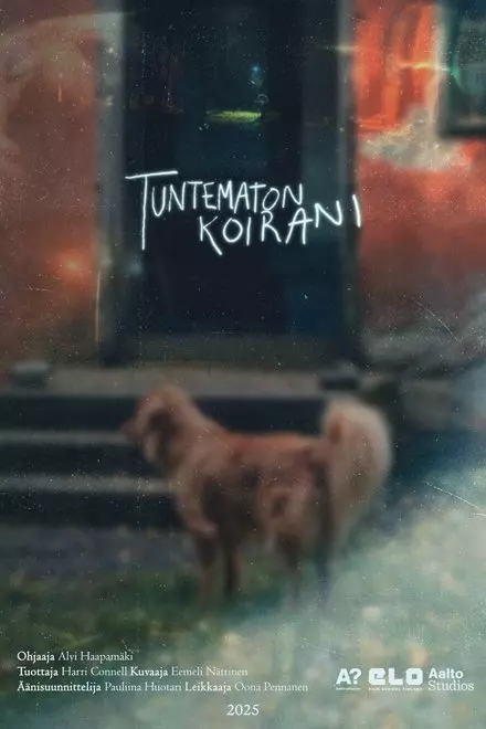Unknown Dog of Mine